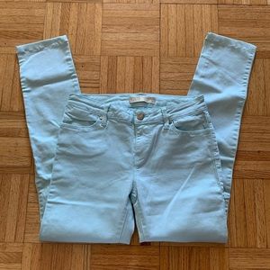 NWOT Zara Basic Premium Denim